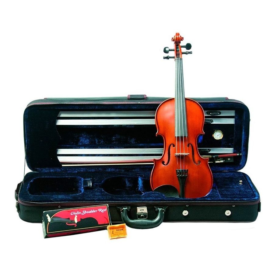 Violin-Palatino-Pv-650-Profesional-4-4-Arco-Estuche-Resina