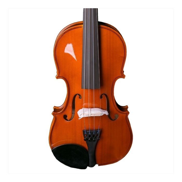 Violin-Yamaha-V3ska-Tamaño-Estandar-4-4-Profesional-Daddario