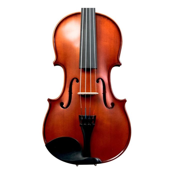 Violin-Palatino-Pv-650-Profesional-4-4-Arco-Estuche-Resina